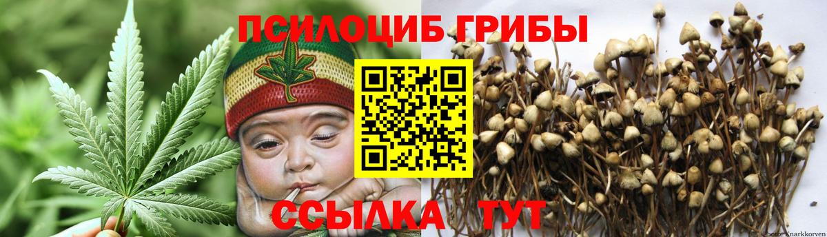 Галлюциногенные грибы GOLDEN TEACHER  Вход с VPN  Мурманск  Галлюциногенные грибы прущие грибы 